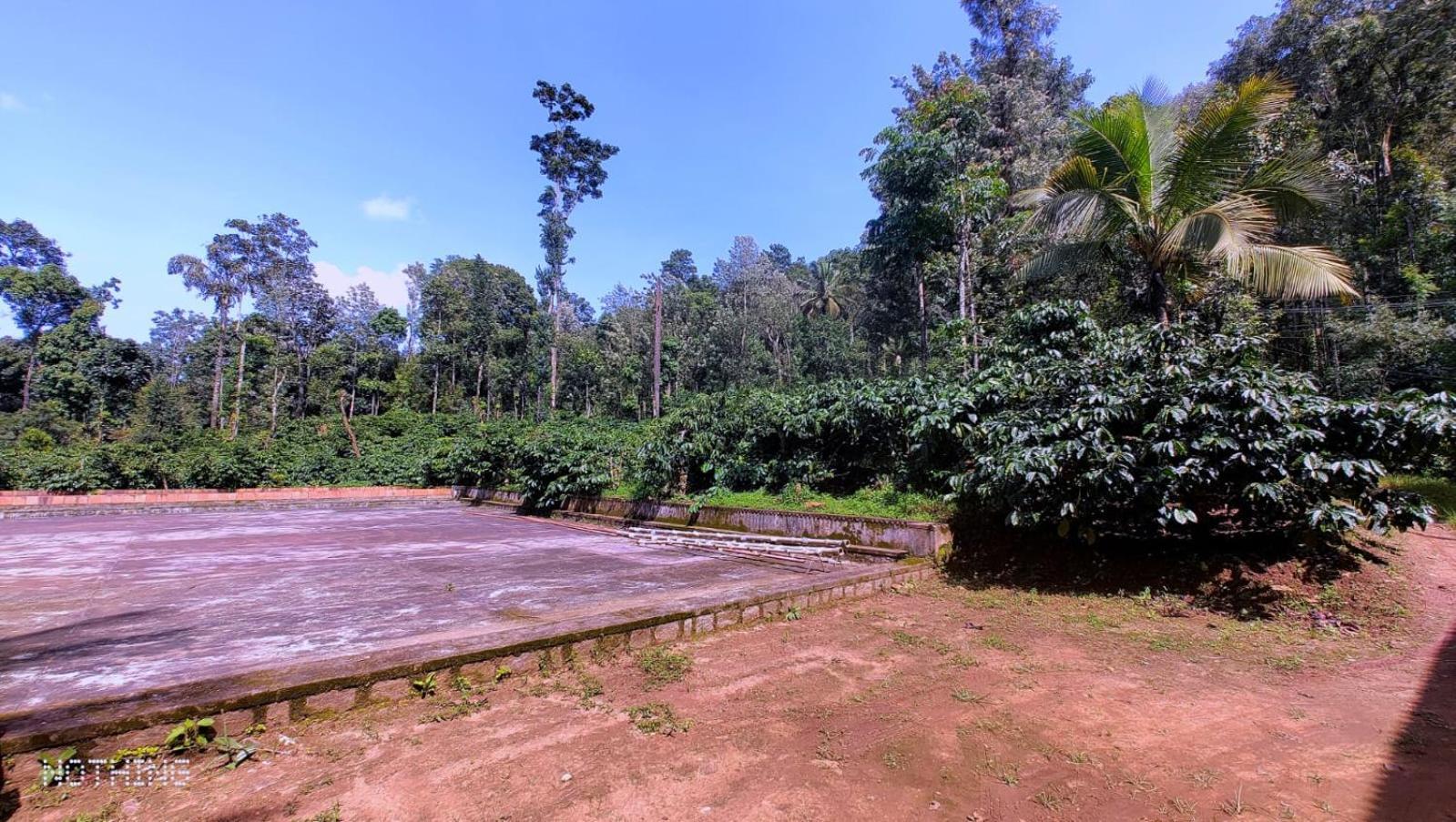 Coorg Divine Spark Home Stay Suntikoppa Extérieur photo