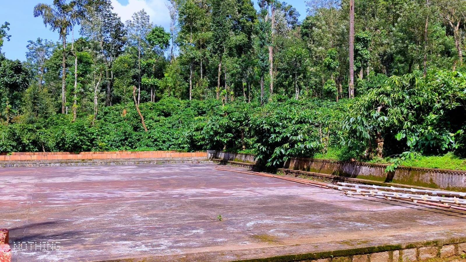 Coorg Divine Spark Home Stay Suntikoppa Extérieur photo