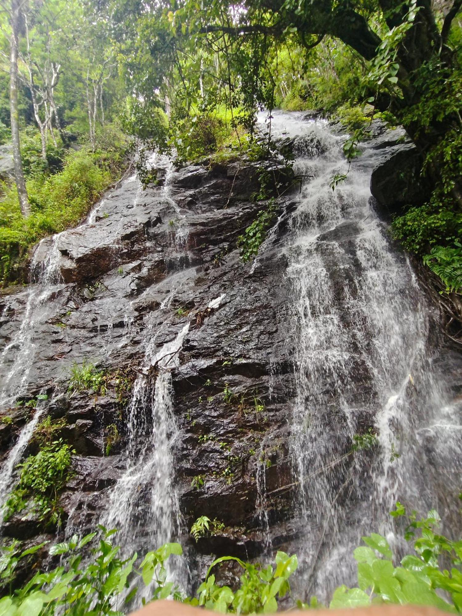 Coorg Divine Spark Home Stay Suntikoppa Extérieur photo